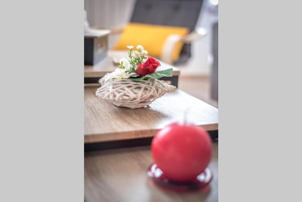 "Le Cocon" 4 Pers - Confortable - So Cozy Montauban Exterior photo